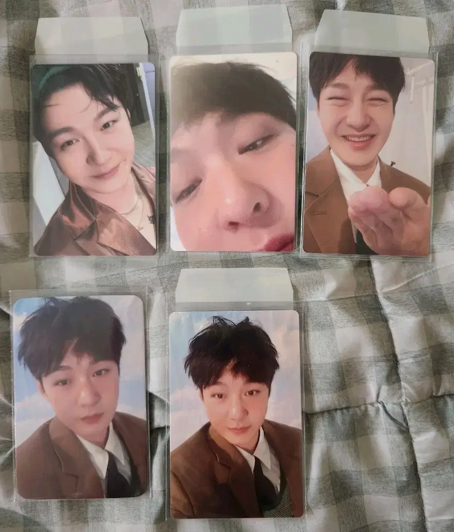 비투비 이창섭 1991 포카 | 브랜드 중고거래 플랫폼, 번개장터